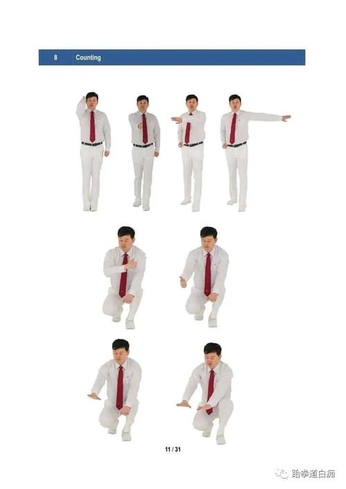 wt跆拳道竞技裁判手势图集,请收藏好这份干货!