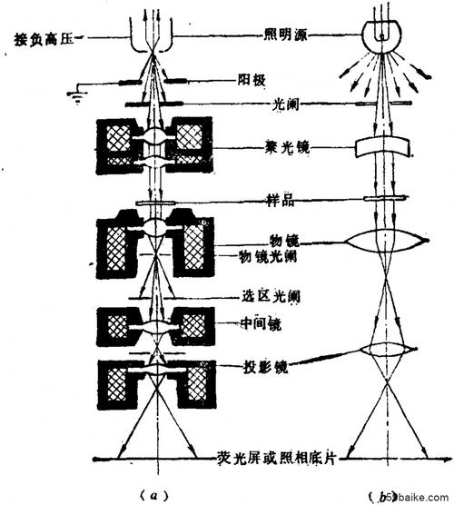 利用高 速运动的电子束代替光波的一种显微镜,简称为 "电镜".