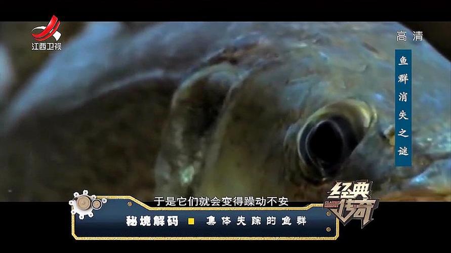 经典传奇 纪录片