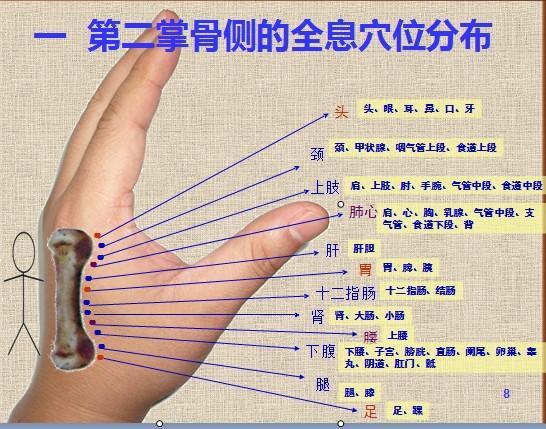 手诊面诊:如何根据全息法进行第二指节骨诊病