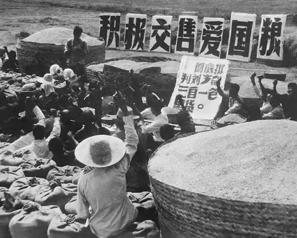 一组80年代交公粮的旧照,记载9亿农民的艰苦岁月