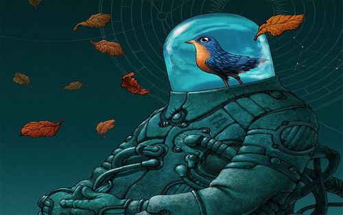 鸟特色创意插画宽屏电脑壁纸