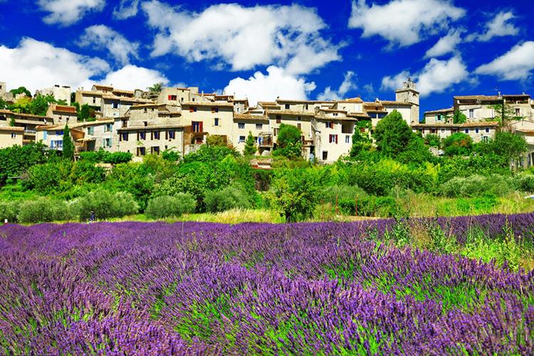 薰衣草的世界——法国普罗旺斯,紫色怎么看都是浪漫!