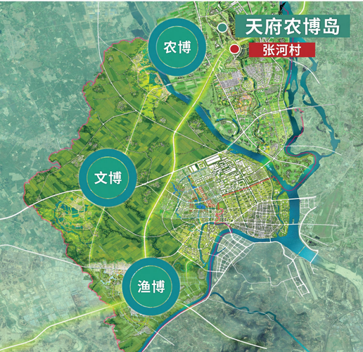 助力成都建设国际会展之都副市长林楠到新津调研中国天府农博园