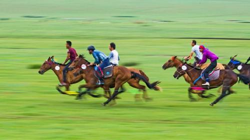 越野驰骋呼伦贝尔大草原双飞6日游2人起订丨2至8人团丨纵穿草原腹地