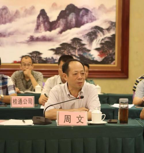 自治区交通运输厅副厅长王劼耘在项目建设推进会上作总结讲话