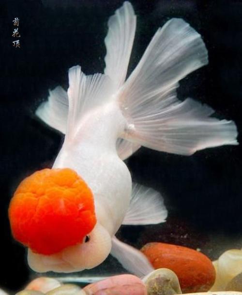 隆**的个人主页-阿里巴巴1688.com