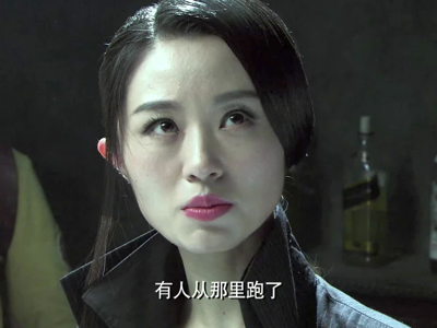 武工队传奇的剧集评价