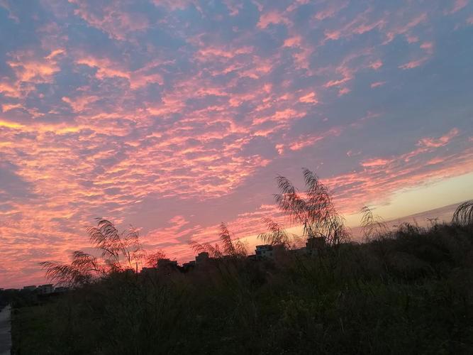夏天的晚霞和晚风真的很美好