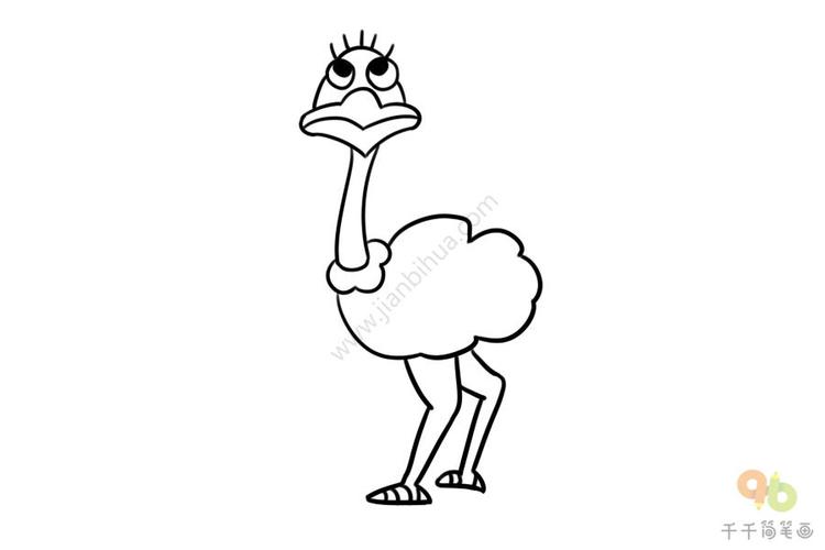 q版卡通鸵鸟简笔画陆地动物简笔画