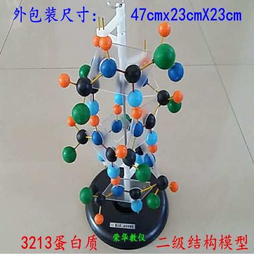 3213蛋白质二级结构模型 球棍式可旋转 生物教学实验器材教学仪器