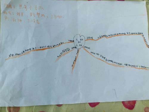 禾丰镇黄田小学四年级《大林和小林》思维导图分享