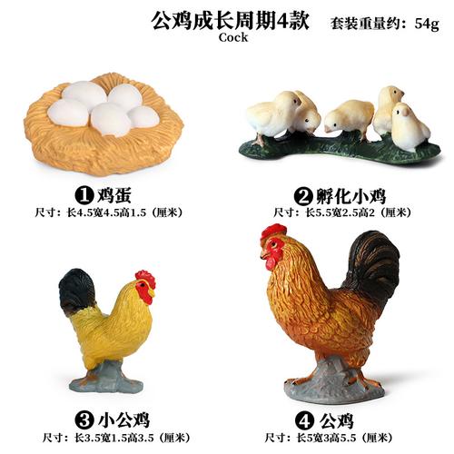 仿真动物植物生长过程模型种子实心大豆成长周期早教儿童科教玩具