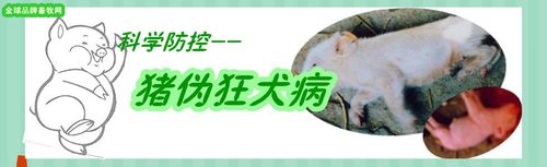 猪伪狂犬病专题 病原 流行特点 临床症状 病理变化 诊断鉴别