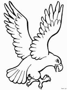 简笔画老鹰图画