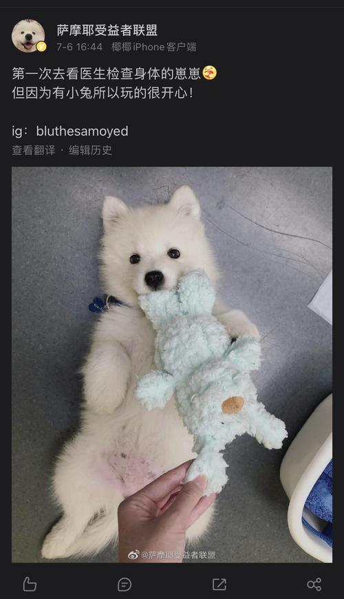 土豆跟刘耀文本人有什么区别吗 没有!