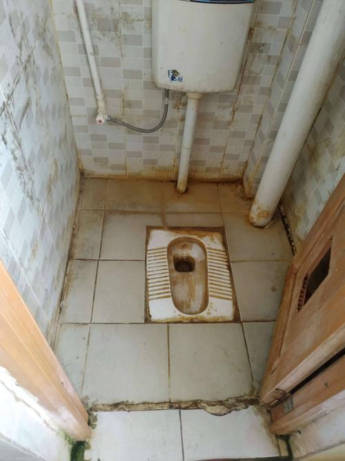 606厕所脏黄,需要买洁厕剂洗刷