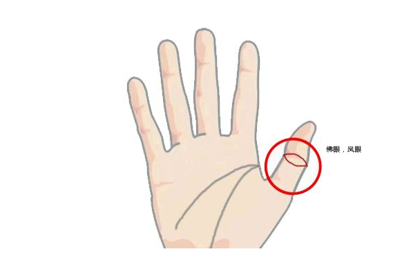 左手上有佛眼的人不简单!手相中的上等,看看你有吗?