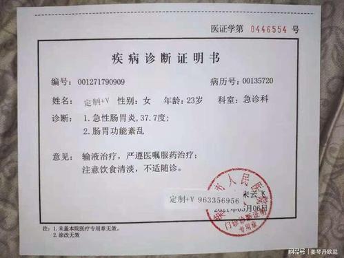 因食物中毒宠物店宠物全肠胃炎病情证明检查病历证明书细菌感染导