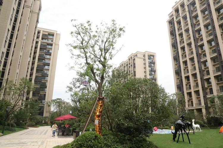 龙湖名景台-杭州龙湖名景台楼盘图片信息-搜狐焦点