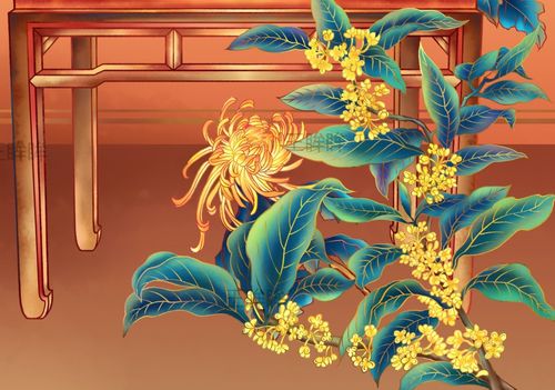花好月圆/手绘海报