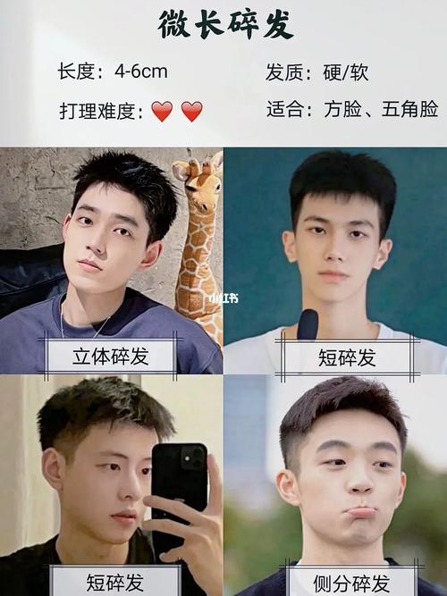 男生根据不同脸型选发型 / 男生发型推荐 / 清爽短发 / 短中发型 / 微