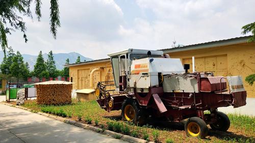 不到二月二农场 不知崂山王哥庄之美