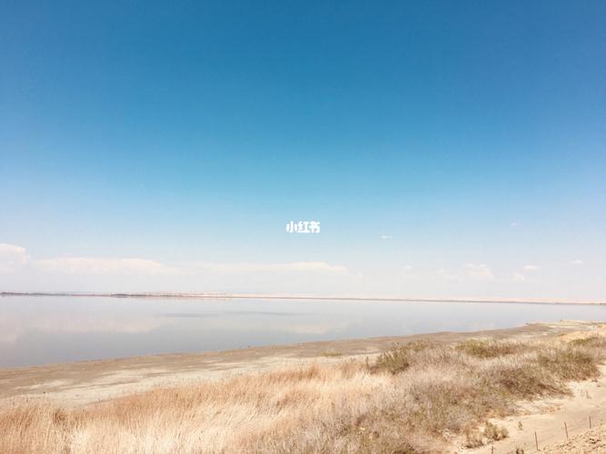 新疆克拉玛依艾里克湖 96小众景点推荐96_防晒_小众景点_艾里克湖