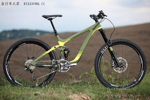 进阶技术性越野—捷安特reign adv 27.5 1