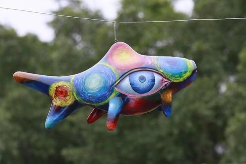 何鸣:神鱼!神鱼!