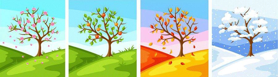 1.4 创意绘画课-一棵树的四季