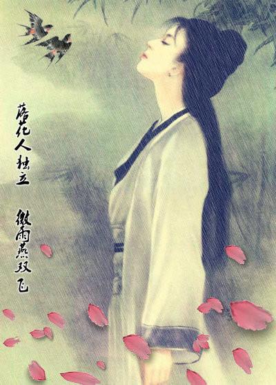 『流年祝福』莲开逝水,语诉流年