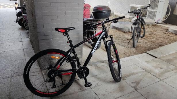 喜德盛旭日300apro油刹版怎么样?值得买吗?有内幕吗? - 数码之