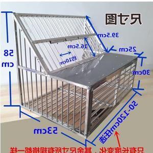 放飞门铁跳笼鸽子笼信鸽跳笼活门自动门跳鸽赛不锈钢入口阳台降落