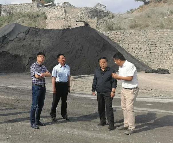 市人大环资委,市国土局相关负责同志参加了视察活动.