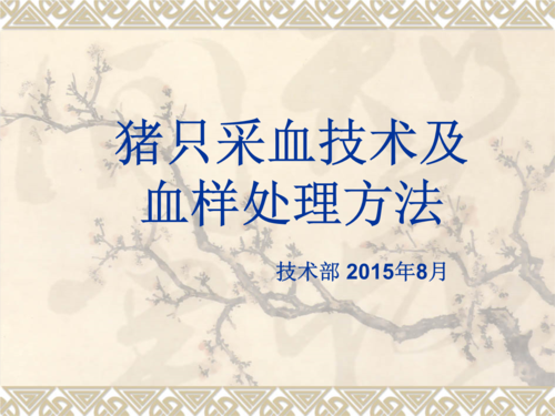 猪只采血技术及血样处理方法.ppt