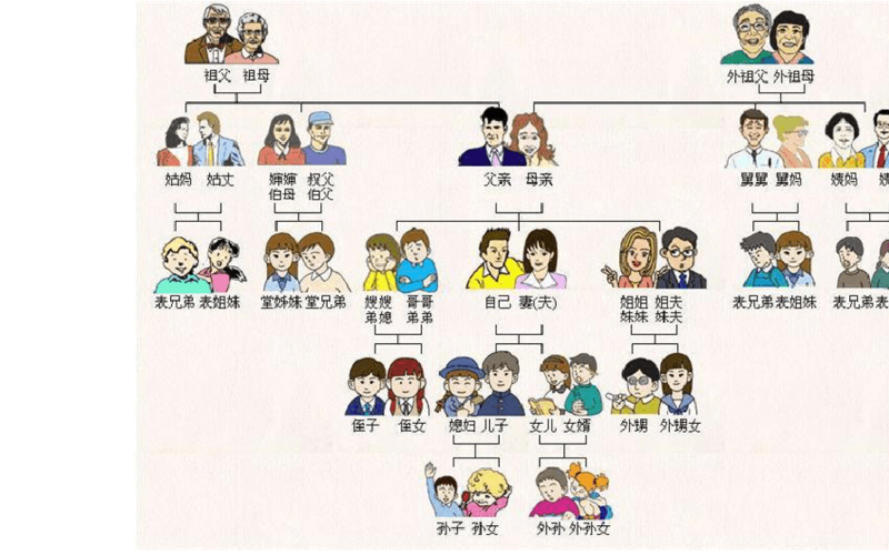 家庭成员称呼的关系图片