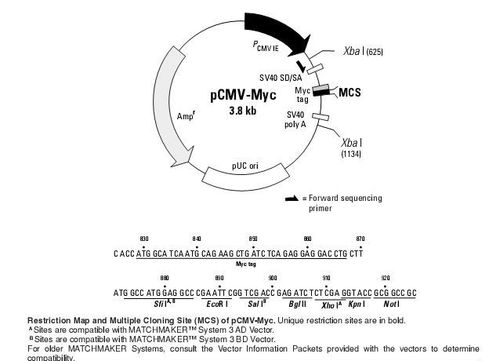 pcdna5-cd59-质粒与慢病毒-产品中心-pl质粒与蛋白共享库