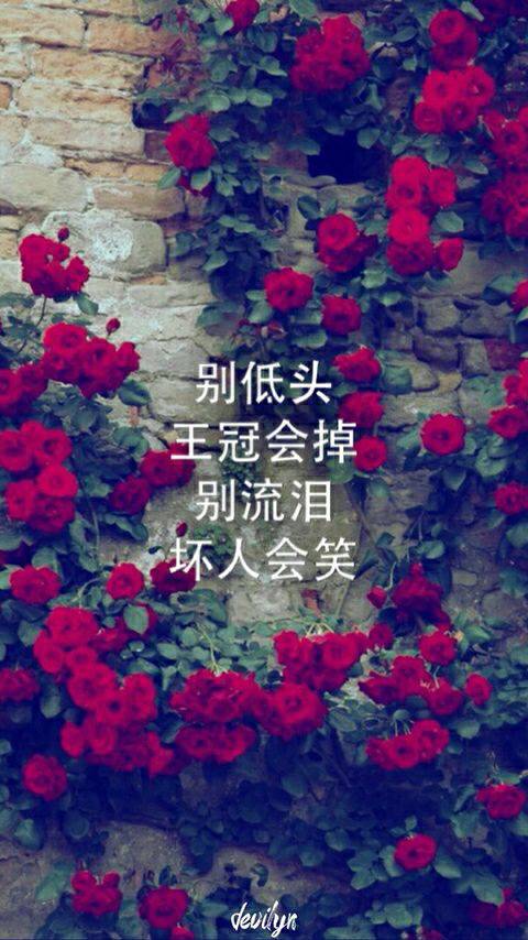 女生 别低头 皇冠会掉 别哭泣 坏人会笑 男生?要有图片的 背景一样
