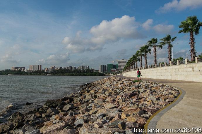 【深圳宝安】阳光灿烂,西湾红树林公园行