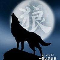微信狼头像图片大全 霸气十足冷酷的狼【点击鼠标右键下载】 微信狼