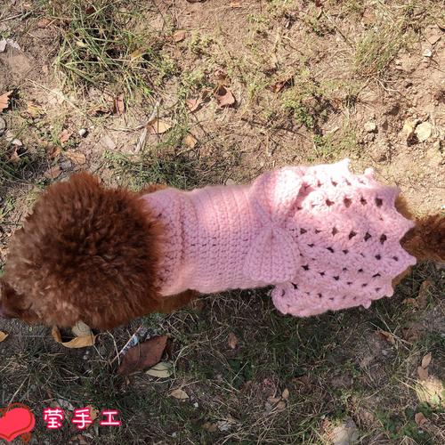 衣服视频材料狗狗迪比熊狗狗不是泰迪宠物编织毛线