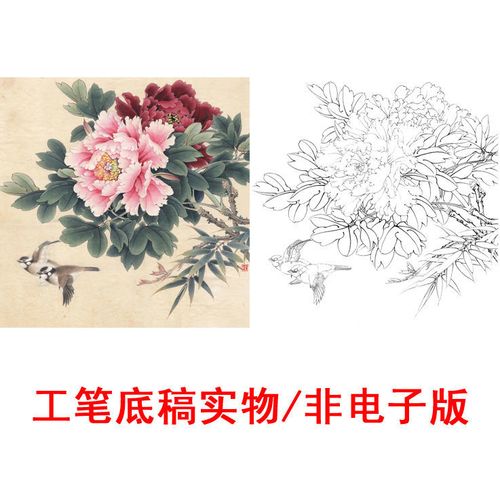 高清国画花卉牡丹工笔画白描底稿线描稿练习实物打印