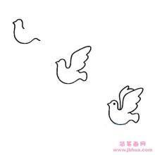 鸽子向上飞简笔画