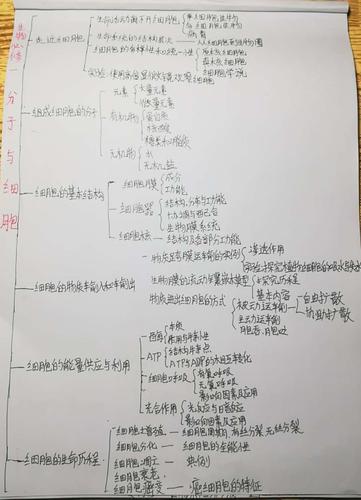 学业水平——画生物学科的思维导图