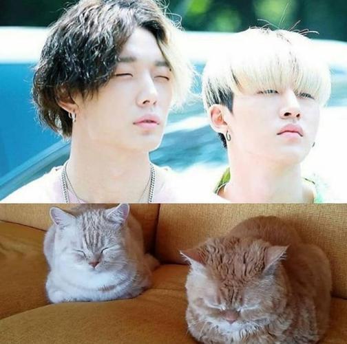doubleb·回归预热·ikon·金韩彬金知元