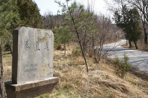 我乘车来到甘肃正宁刘家店林场,因为这里有秦直道的遗迹