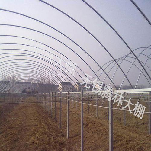 葡萄连栋大棚建设 温室大棚单体葡萄大棚葡萄钢架大棚