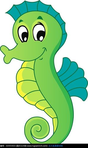 海马图片大全卡通 海马图片大全
