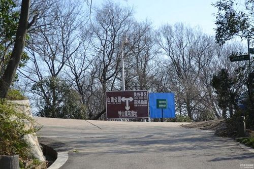 紫金山p13--p18:从人行栈道的三岔路口到华泰登山道,沿途的风景让我们